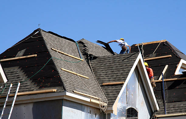 Best Roof Repair Services  in Albertville, MN