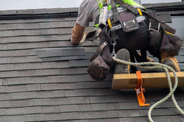 Quick and Trustworthy Emergency Roof Repair Services in Albertville, MN